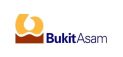 Bukit asam